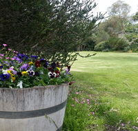 Padthaway Caravan Park - Accommodation Fremantle