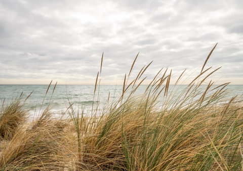 Palm Beach Cottage - Accommodation Fremantle 1