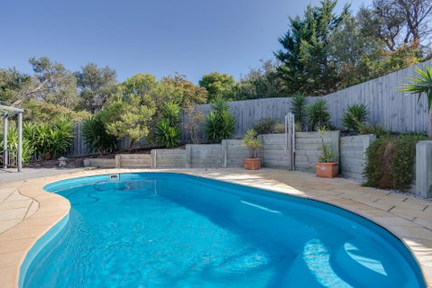 Paws Up Poolside - Accommodation Fremantle 1