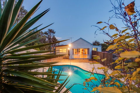 Paws Up Poolside - Accommodation Fremantle 3