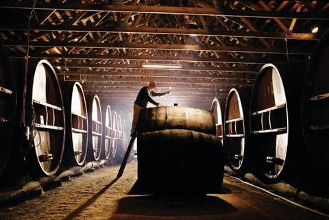 Pieter Van Gent Winery & Vineyard - Accommodation Fremantle 0
