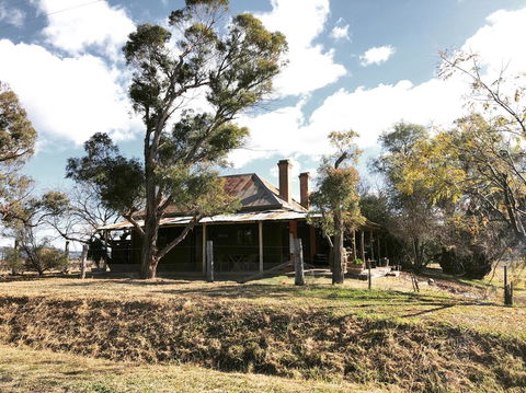 Pieter Van Gent Winery & Vineyard - Accommodation Fremantle 3