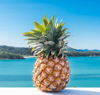Pineapple House Whitsundays - Accommodation Fremantle