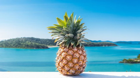 Pineapple House Whitsundays - Accommodation Fremantle 0