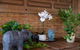 Quiet Quadruple Private Room In Strathfield 3min To Train Station Sleeps 4b - thumb 3