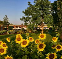 Quirindi Sunflower Motor Inn - Accommodation Fremantle