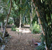 Rainforest Water Front River Shack Secluded. - Accommodation Fremantle