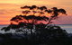 Red Hill Ridge - thumb 1