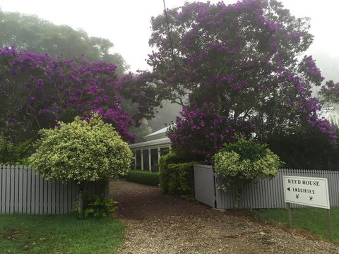 REED HOUSE At Maleny-The White Pavilion - Accommodation Fremantle 0