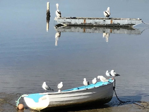 Reflections On Merimbula Lake - Accommodation Fremantle 2