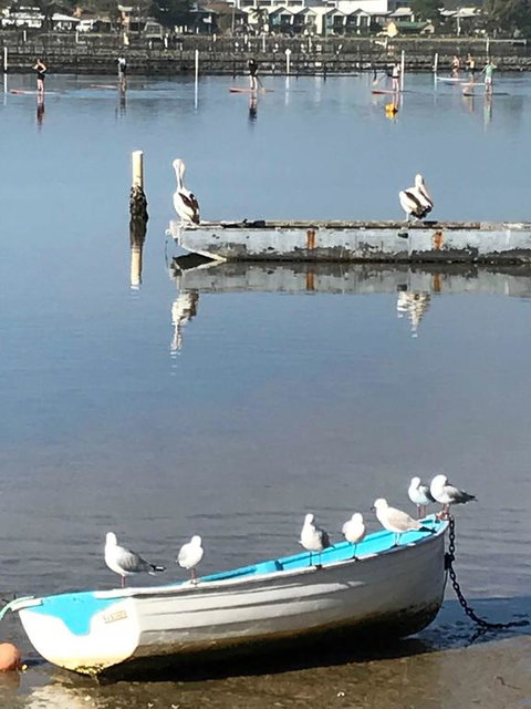 Reflections On Merimbula Lake - Accommodation Fremantle 1