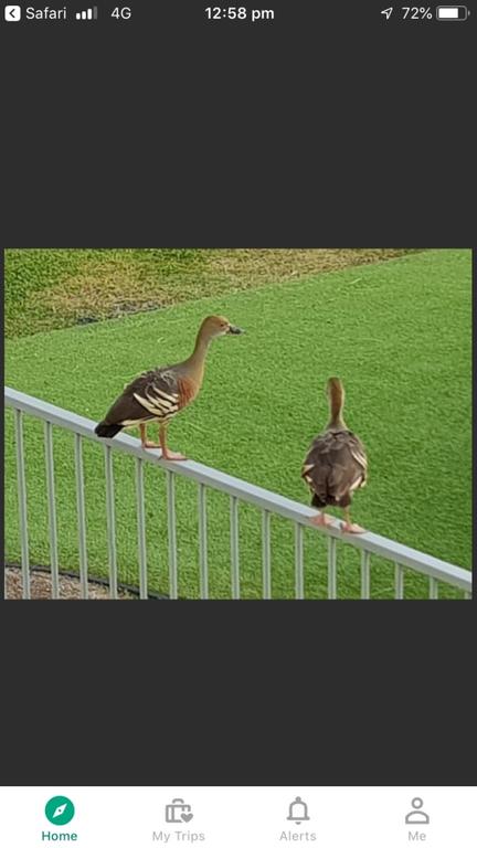 Resort Living - Accommodation Fremantle 3