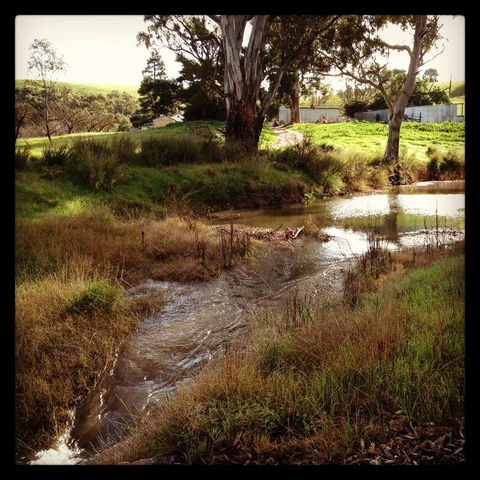 River Cottage Barossa -Self Contained-30 Acres-360 Degree Views-Netflix -Wine-Wifi - Accommodation Fremantle 3