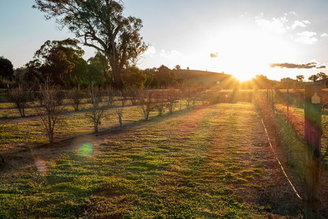 Riverview Farm & Guesthouse - Accommodation Fremantle 3