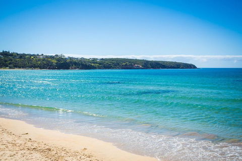 Seachange Apartments Merimbula - Accommodation Fremantle 2