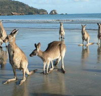 Seaforth Holiday Units - Accommodation Fremantle