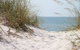 Seas The Day - thumb 0