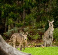 Secura Lifestyle Countryside Kalaru - Accommodation Fremantle