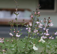 Serendipity on Allyn - Accommodation Fremantle