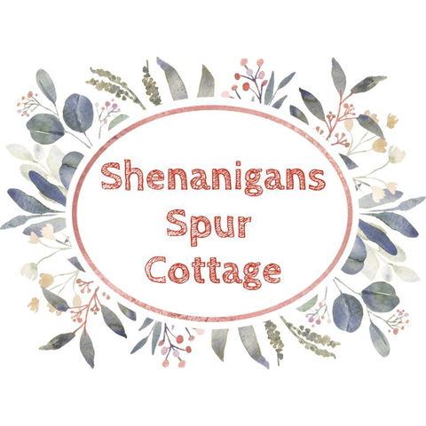 Shenanigans Spur Cottage - Accommodation Fremantle 3