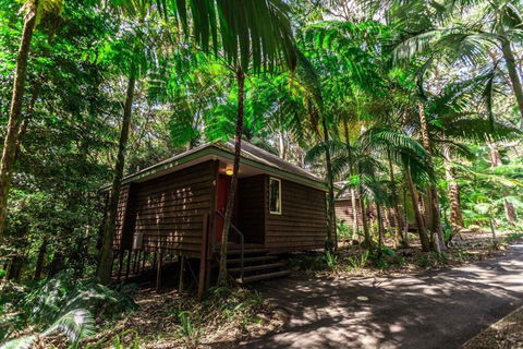 Songbirds Rainforest Retreat - Accommodation Fremantle 2