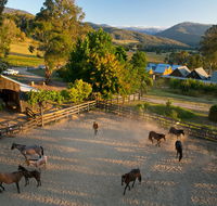 Spring Spur - Accommodation Fremantle