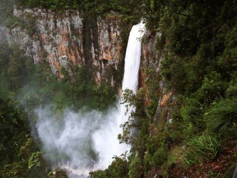Springbrook Lyrebird Retreat - Accommodation Fremantle 2