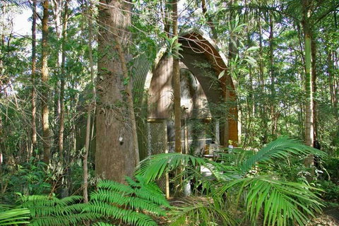 Springbrook Mountain Chalets - Accommodation Fremantle 0