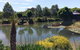 Still Waters - thumb 1