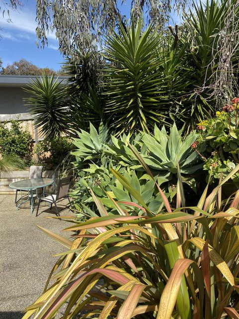 Surf Coast Haven - Accommodation Fremantle 3