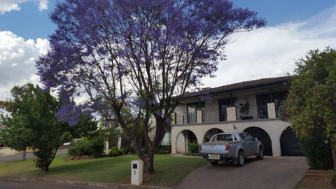 Tamworth Exclusive B&B - Accommodation Fremantle 1
