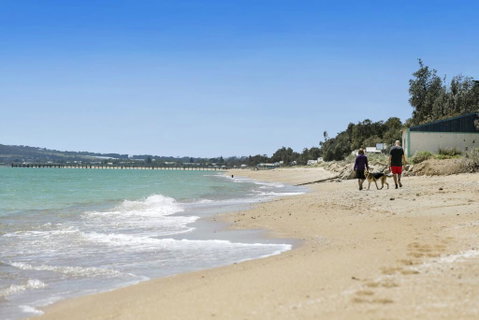 THALASSA HOUSE COASTAL RETREAT DROMANA - Accommodation Fremantle 2
