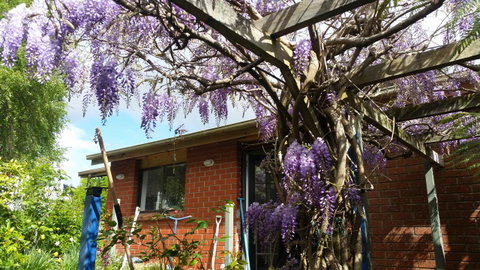 Birch Lane - Accommodation Fremantle 42