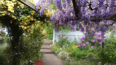 Birch Lane - Accommodation Fremantle 20