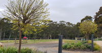 Book Lebrina Accommodation Vacations Accommodation Fremantle Accommodation Fremantle