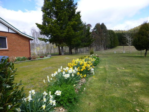 Quamby Pines Chalet - Accommodation Fremantle 19