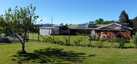 Quamby Pines Chalet - Accommodation Fremantle 1