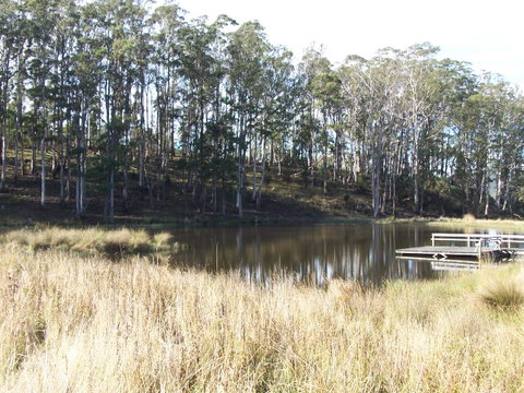 Quamby Pines Chalet - Accommodation Fremantle 14