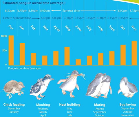 Diamond Island Resort - Accommodation Fremantle 28