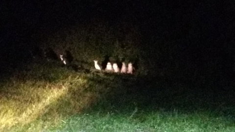 Diamond Island Resort - Accommodation Fremantle 23