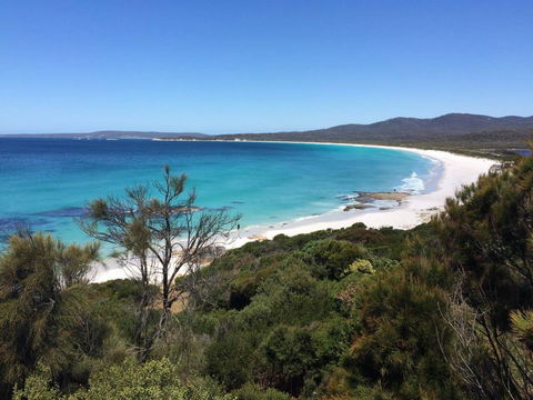 Holland House Bay Of Fires - Accommodation Fremantle 15
