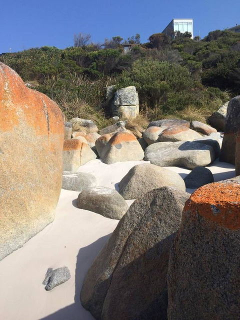 Holland House Bay Of Fires - Accommodation Fremantle 5