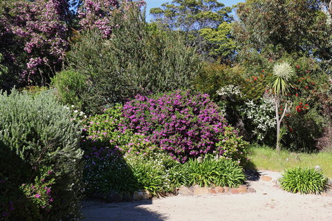 Hazards Beach House - Accommodation Fremantle 1