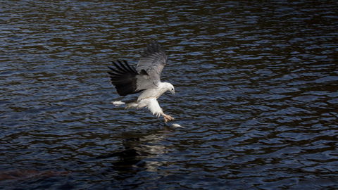 Arthur Riverfront And Sea Lodge Downstream - Accommodation Fremantle 38