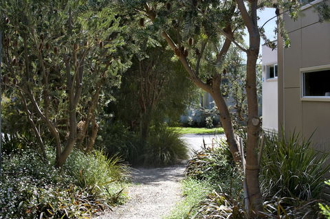 BIG4 Ingenia Holidays Queenscliff Beacon - Accommodation Fremantle 13