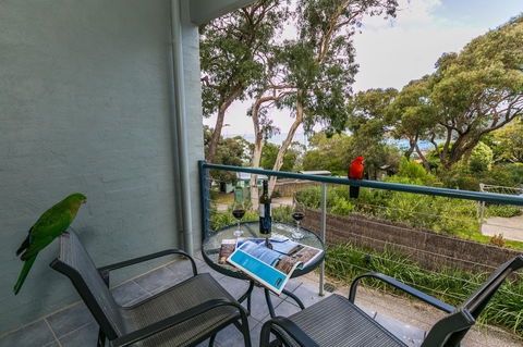 Lorne Surf Apartments - Accommodation Fremantle 21
