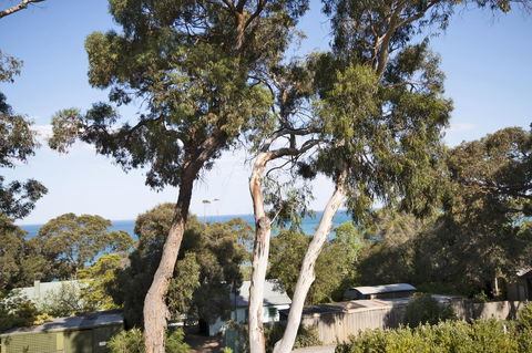 Lorne Surf Apartments - Accommodation Fremantle 6
