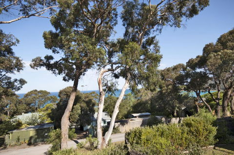 Lorne Surf Apartments - Accommodation Fremantle 11