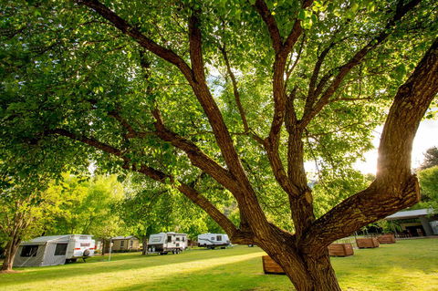Discovery Parks - Bright - Accommodation Fremantle 31