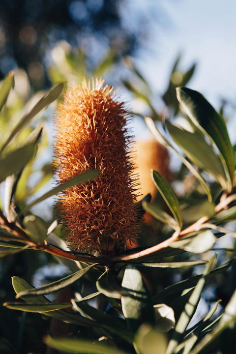 Dunkeld Studio Accommodation - Accommodation Fremantle 19